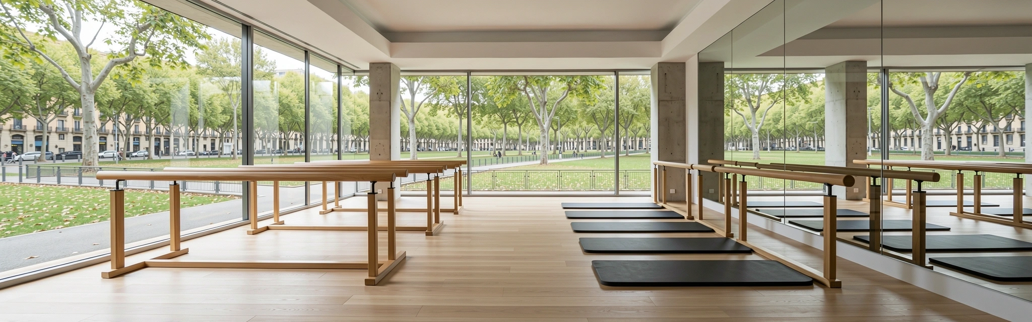 Ambiente de entrenamiento profesional